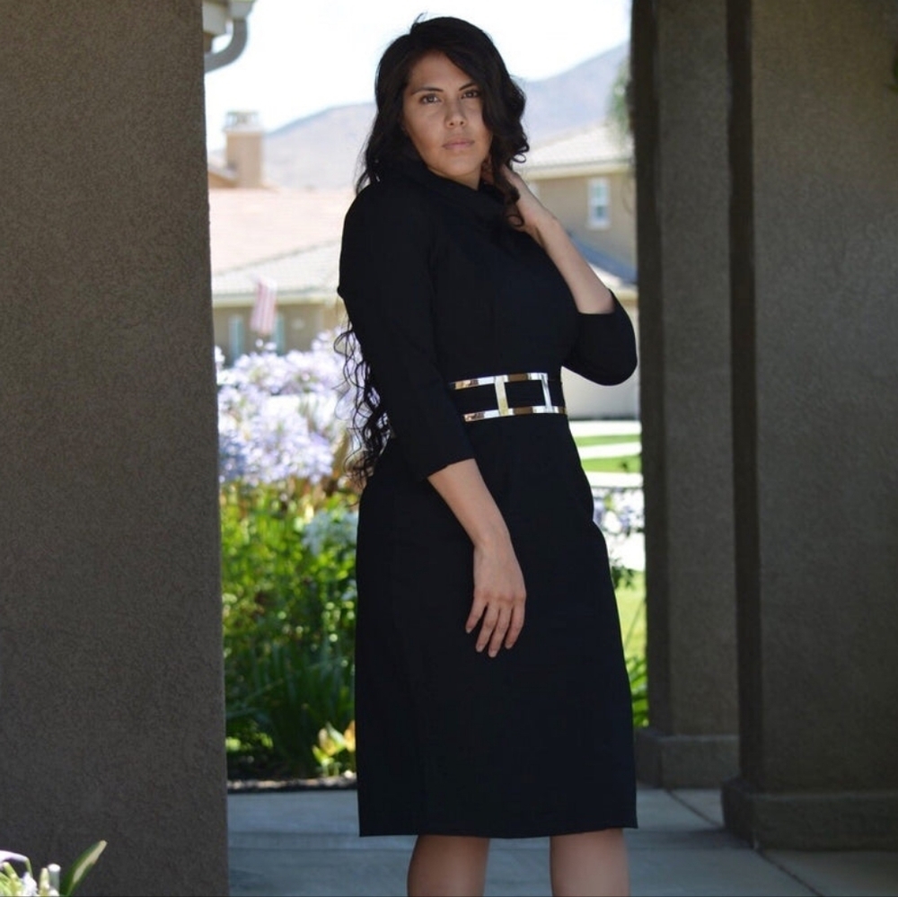 Skirt Society Milan Dress. NWT - Picture 4 of 5